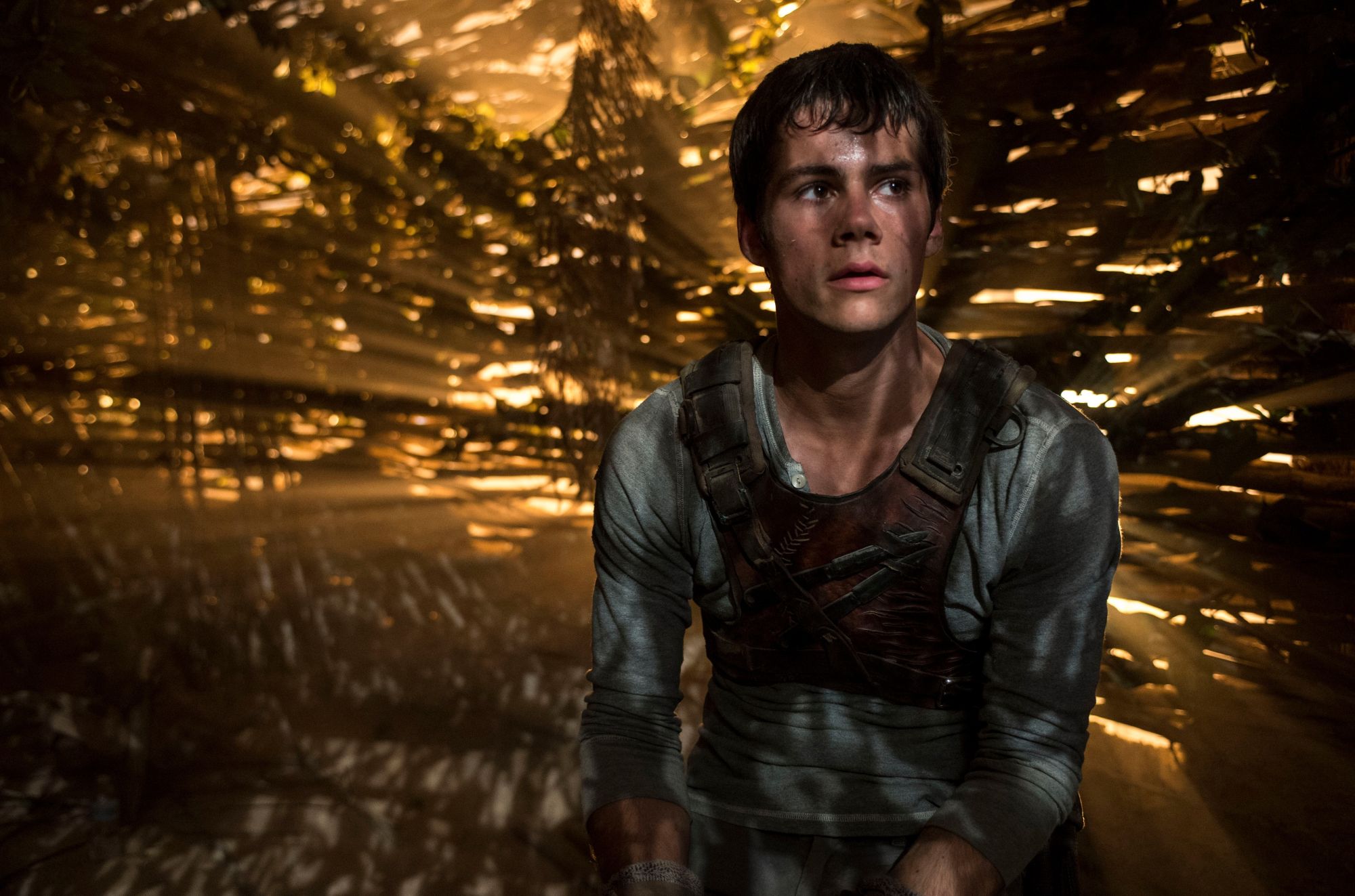 Maze Runner The Death Cure To Return Filming In February