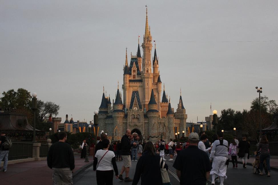 Find Out Why Mosquitoes Are Never Seen at Disney World